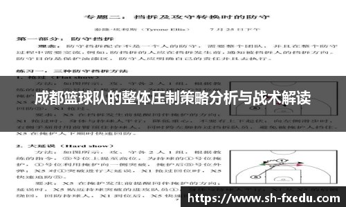 成都篮球队的整体压制策略分析与战术解读