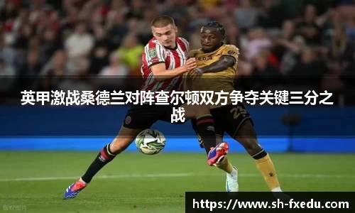 英甲激战桑德兰对阵查尔顿双方争夺关键三分之战